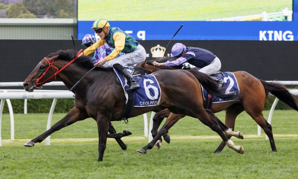 理素质的突 理素质的突